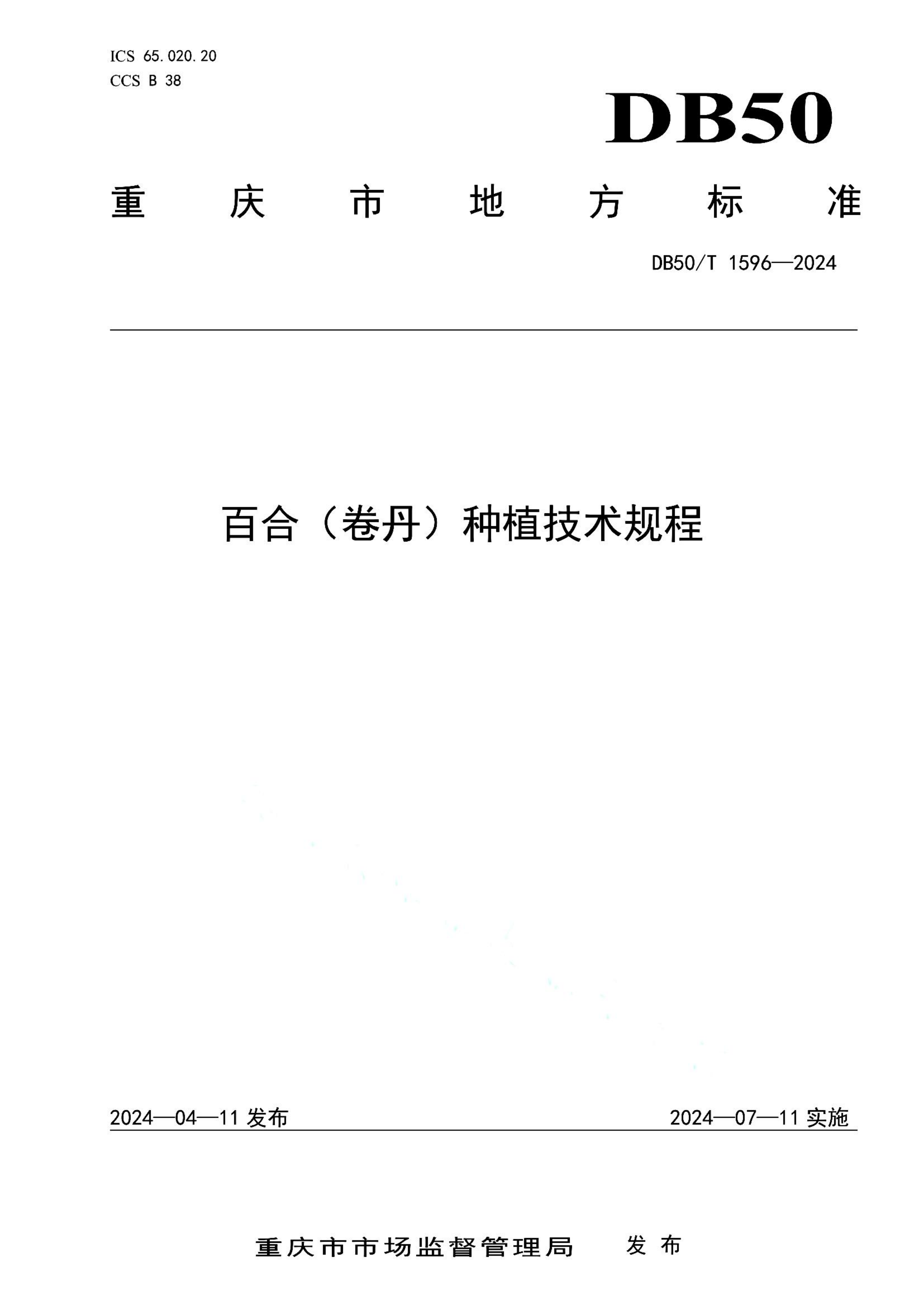 资源详情图